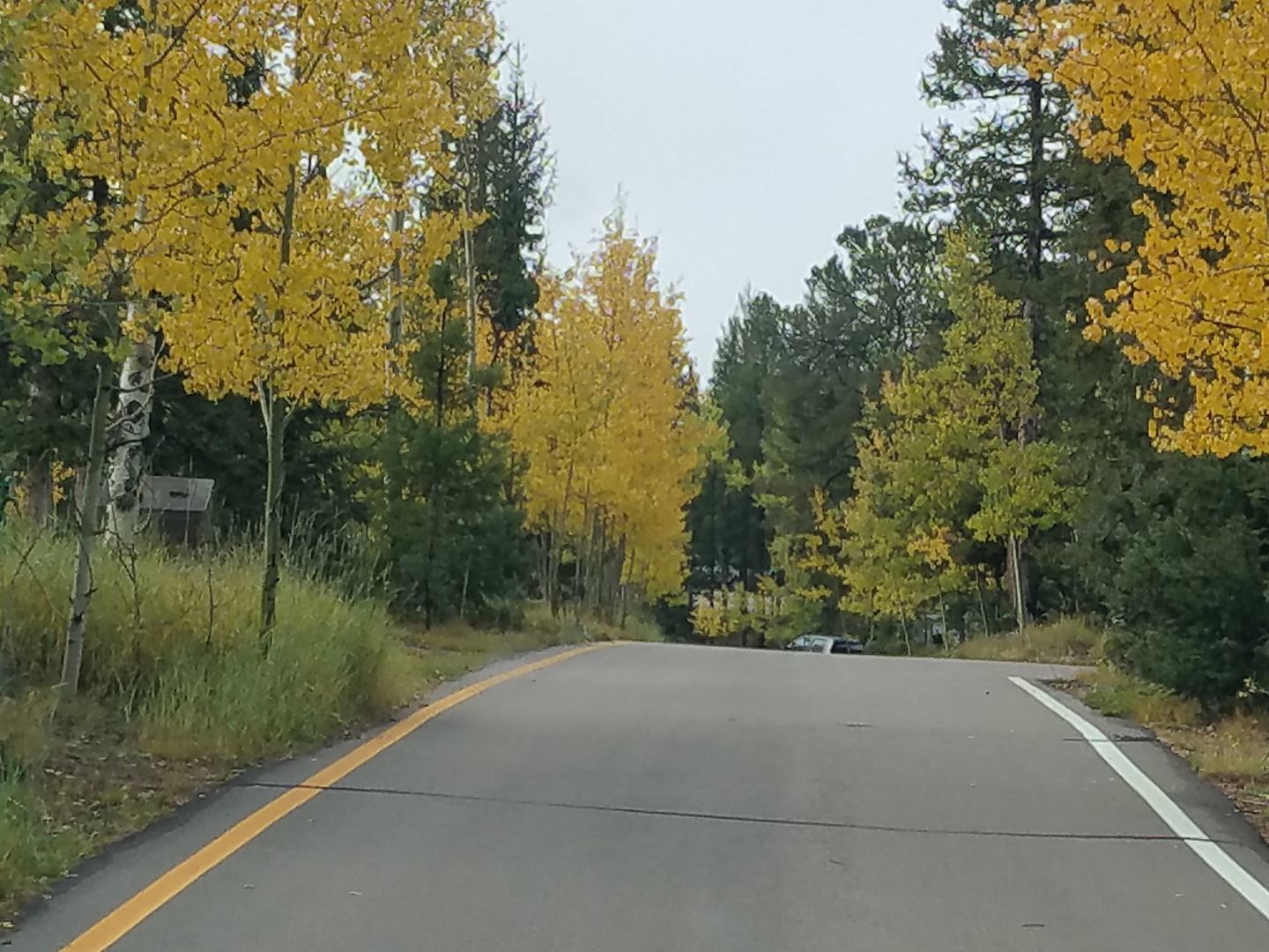 Mueller State Park